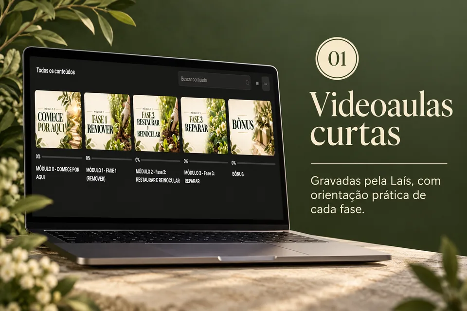 01 Videoaulas curtas: gravadas pela Laiz, com orientação prática de cada fase.
